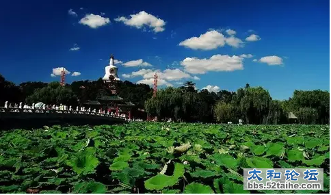 QQ截图20150715104053.png