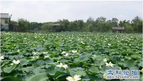 QQ截图20150715104119.png