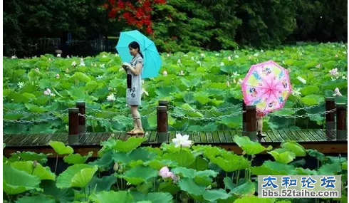QQ截图20150715104126.png