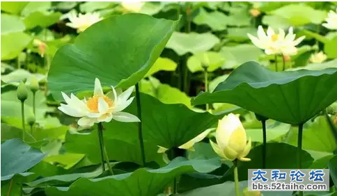 QQ截图20150715104133.png