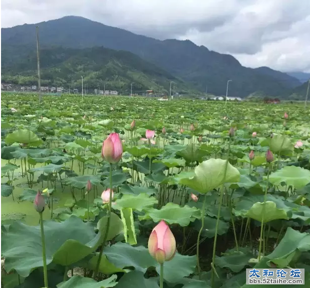 QQ截图20150715104203.png