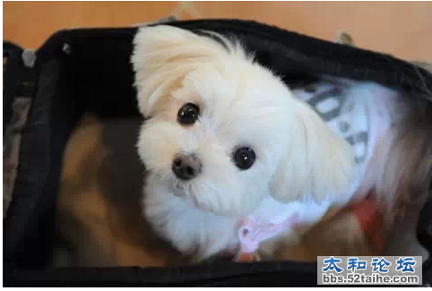 QQ截图20150718145658.png