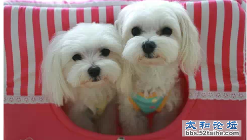 QQ截图20150718145710.png