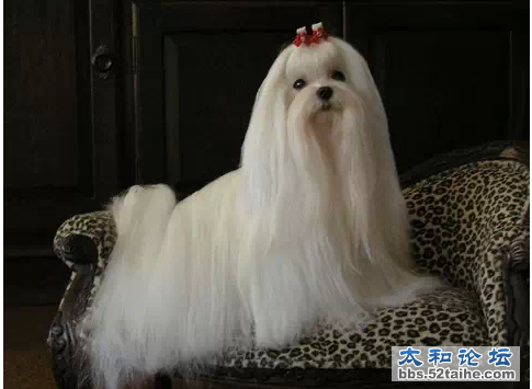 QQ截图20150718145720.png
