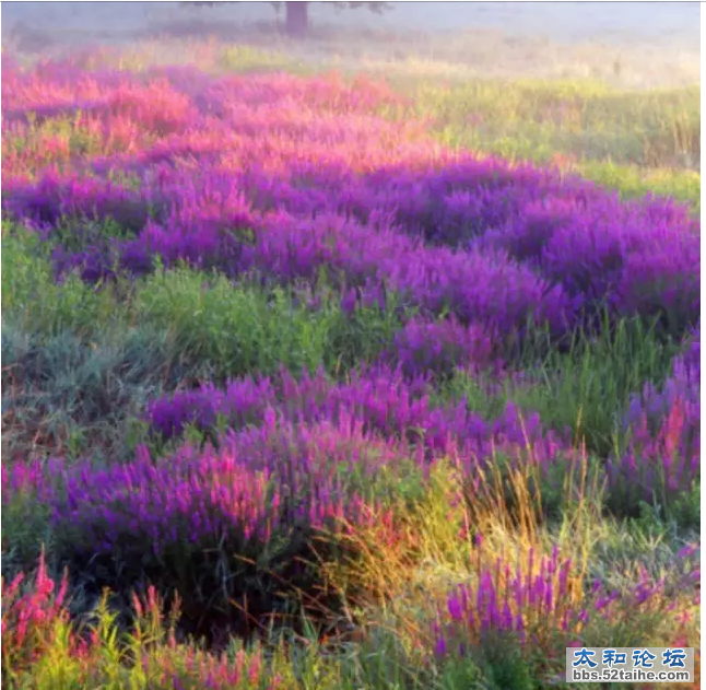 QQ截图20150721160202.png