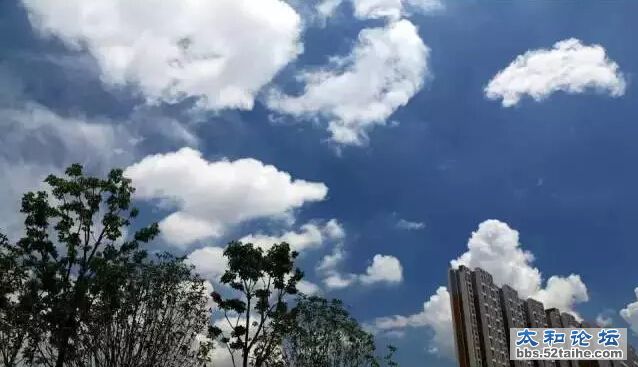 QQ截图20150727180012.jpg