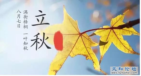 QQ截图20150808165547.jpg