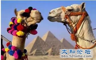 QQ截图20150929110226.jpg