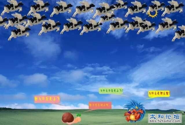 QQ截图20151216114519.jpg