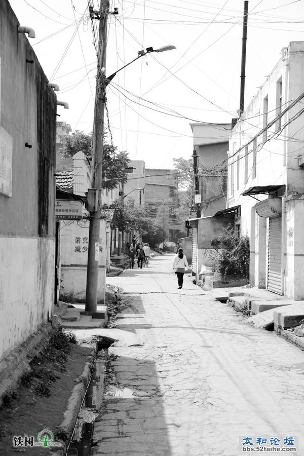 DSC_2407.jpg