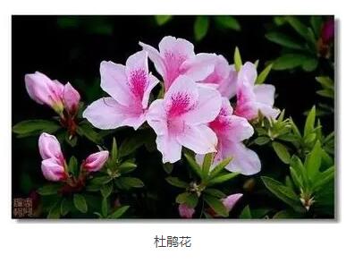 QQ截图20160427084758.jpg