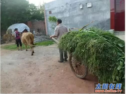 QQ截图20160505160116.jpg