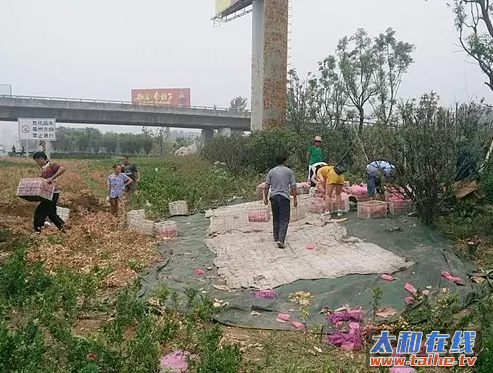 QQ截图20160712112809.png