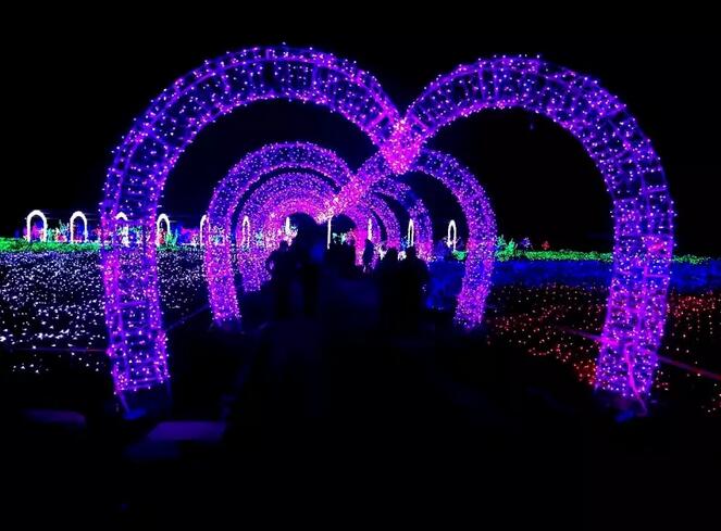QQ截图20160810113416.jpg