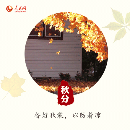 0 (5).gif