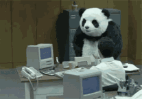 ae6fee0aea0e93850f52f5ebe114d718.gif
