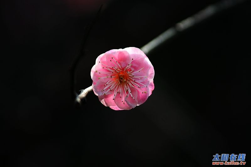 IMG_5671.JPG