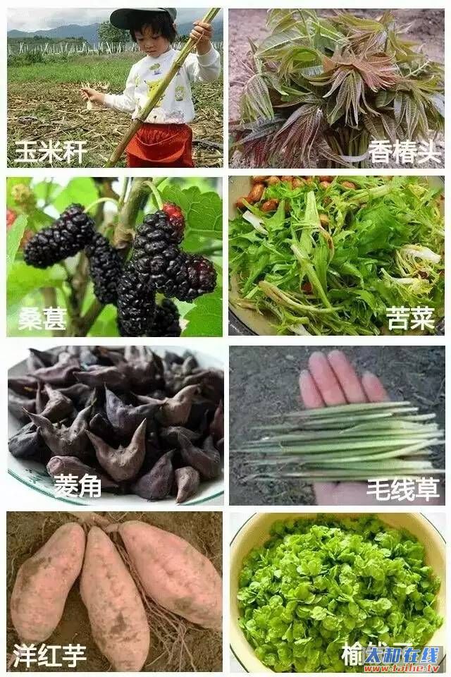 71a50191a650aaceb8c596c3c2f34ddd.jpg