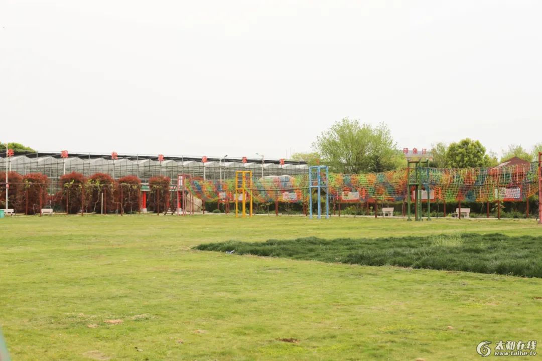 w51.jpg