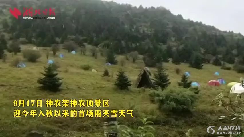 w9.jpg