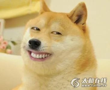 w3.jpg
