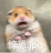 w1.jpg